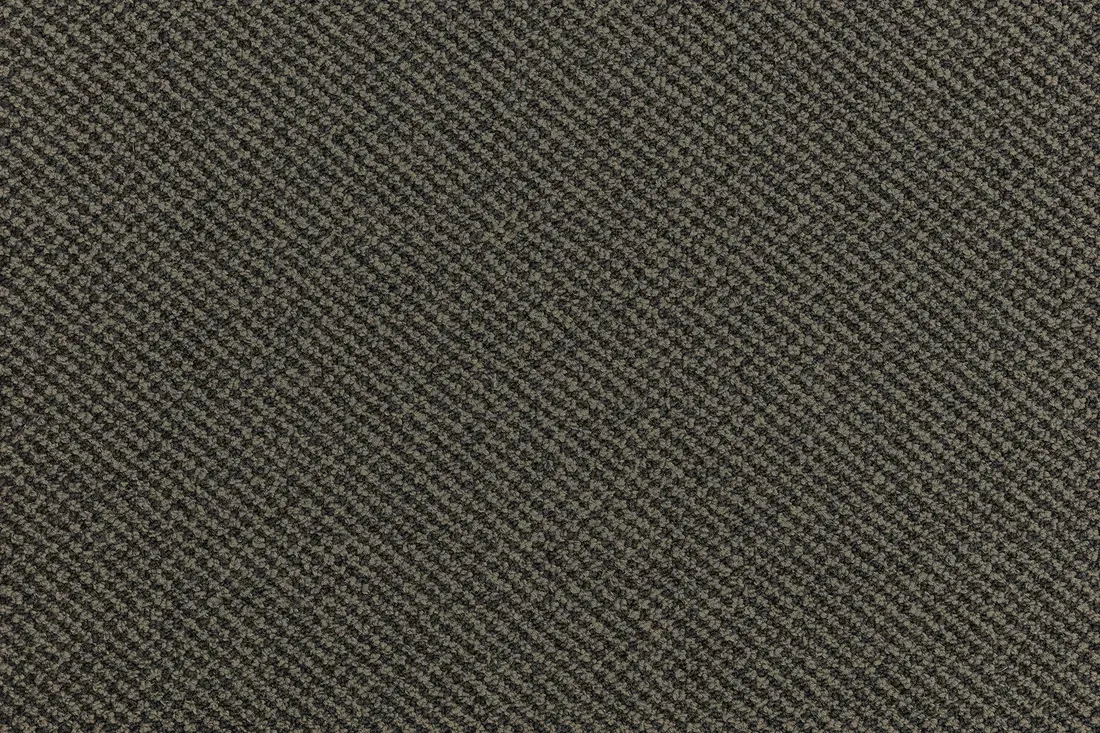 Spectra Straight