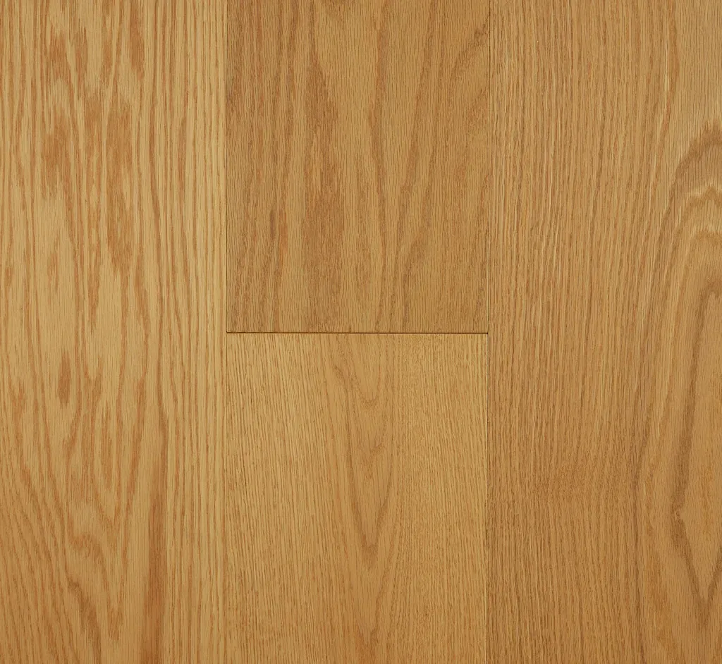 Forest Oak