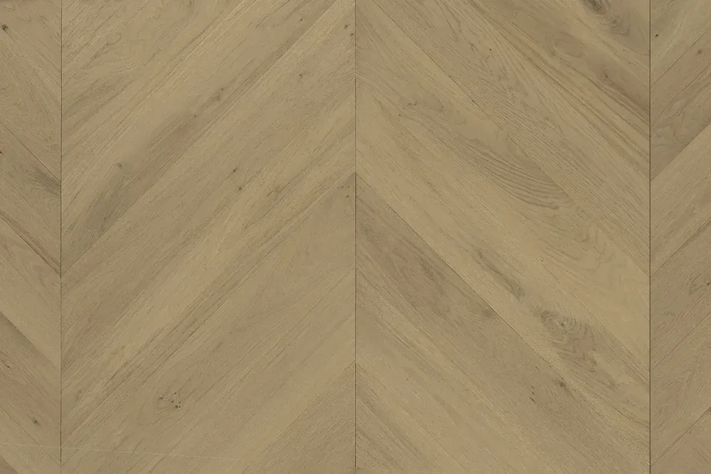 Champagne Chevron