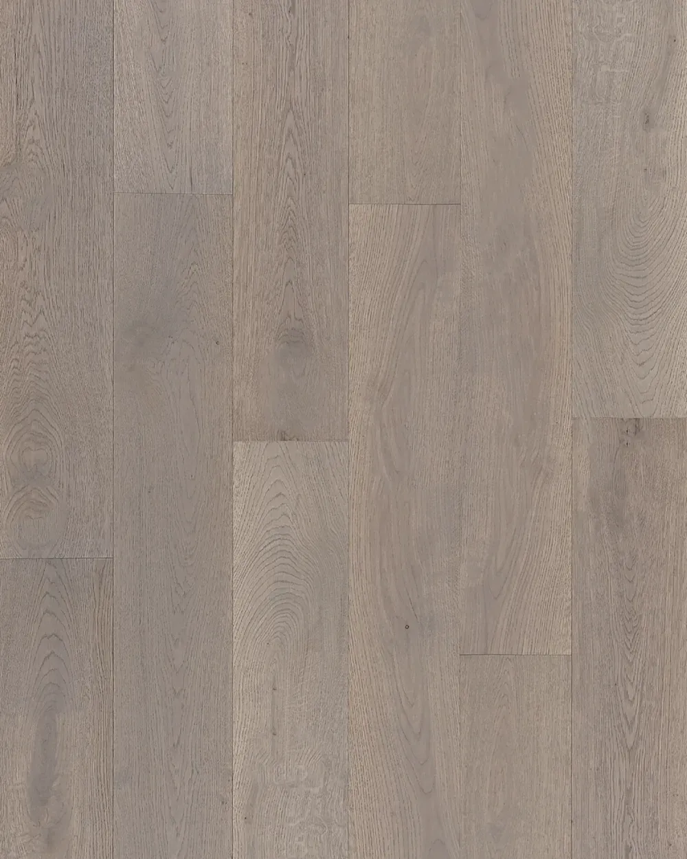 Amaretti Oak
