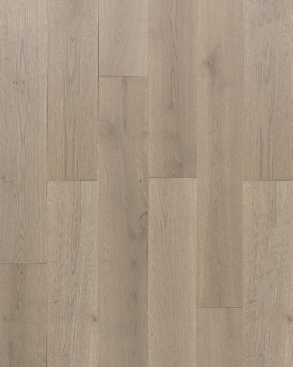 Panania Oak