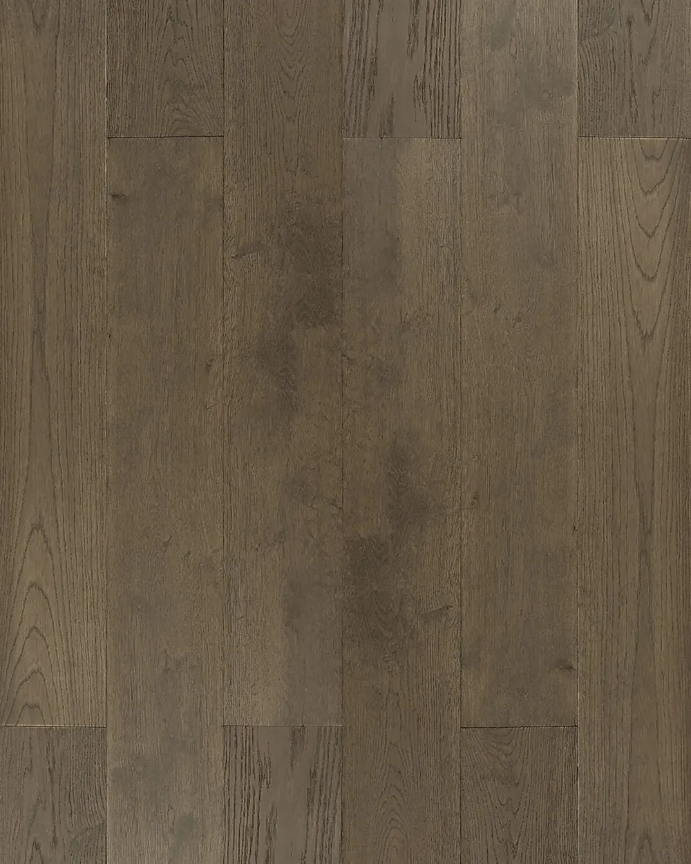 Truffle Oak