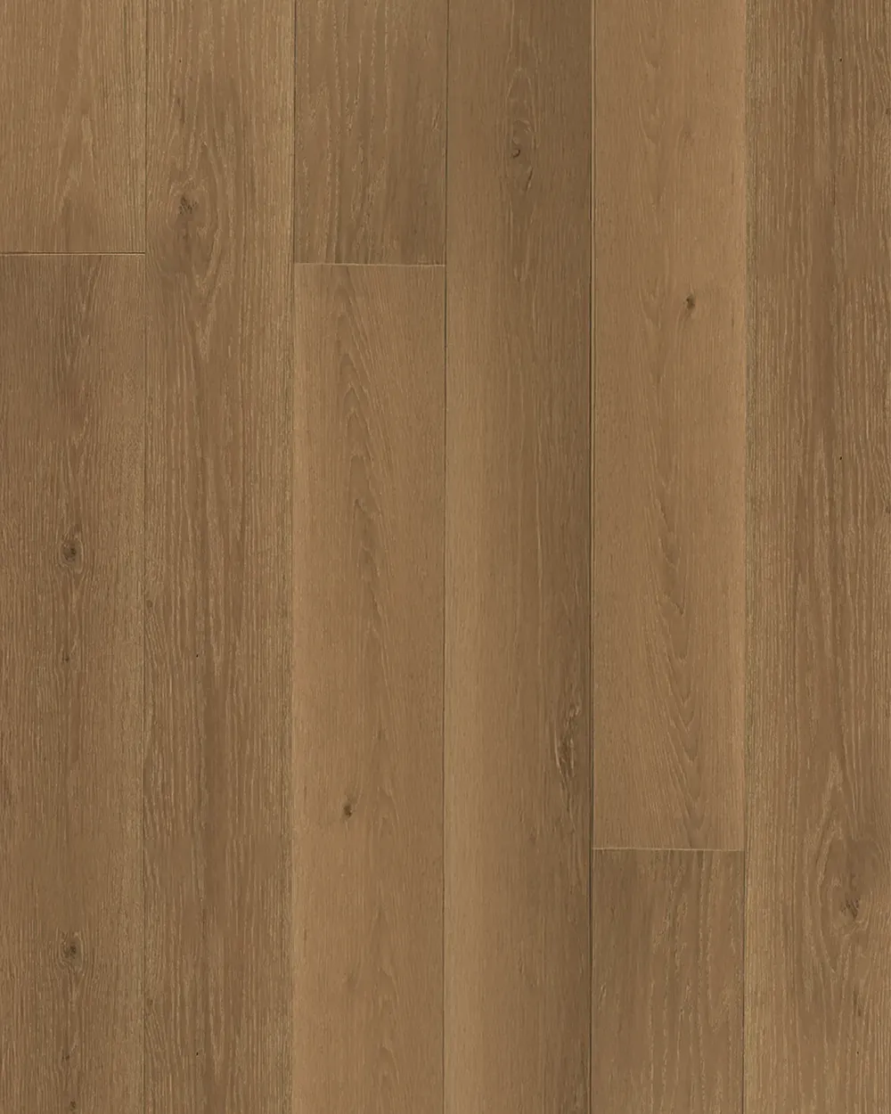 Florence Oak