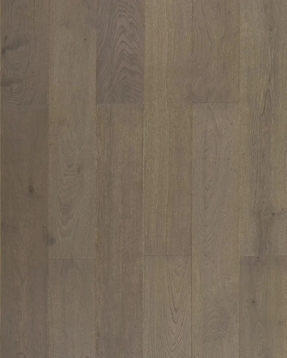 Marrone Oak
