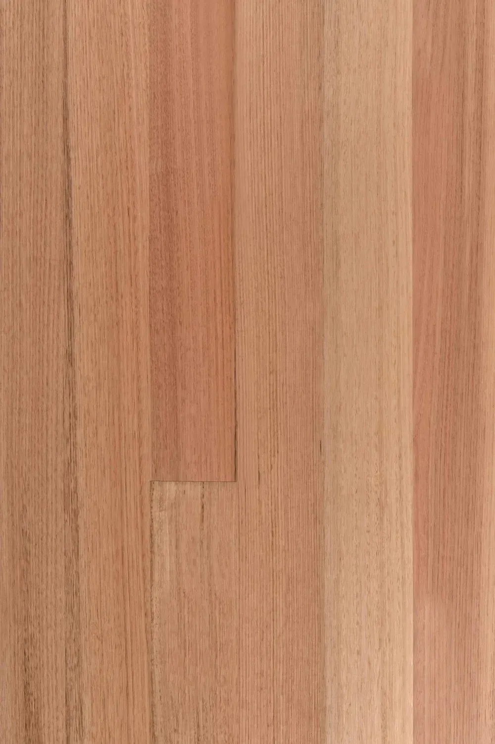 Tasmanian Oak