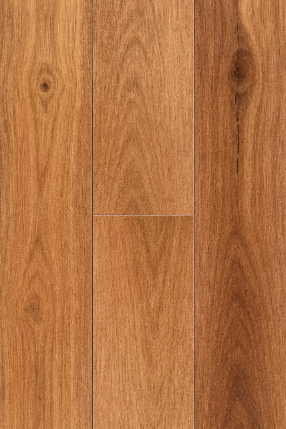 Pacific Spotted Gum Straight