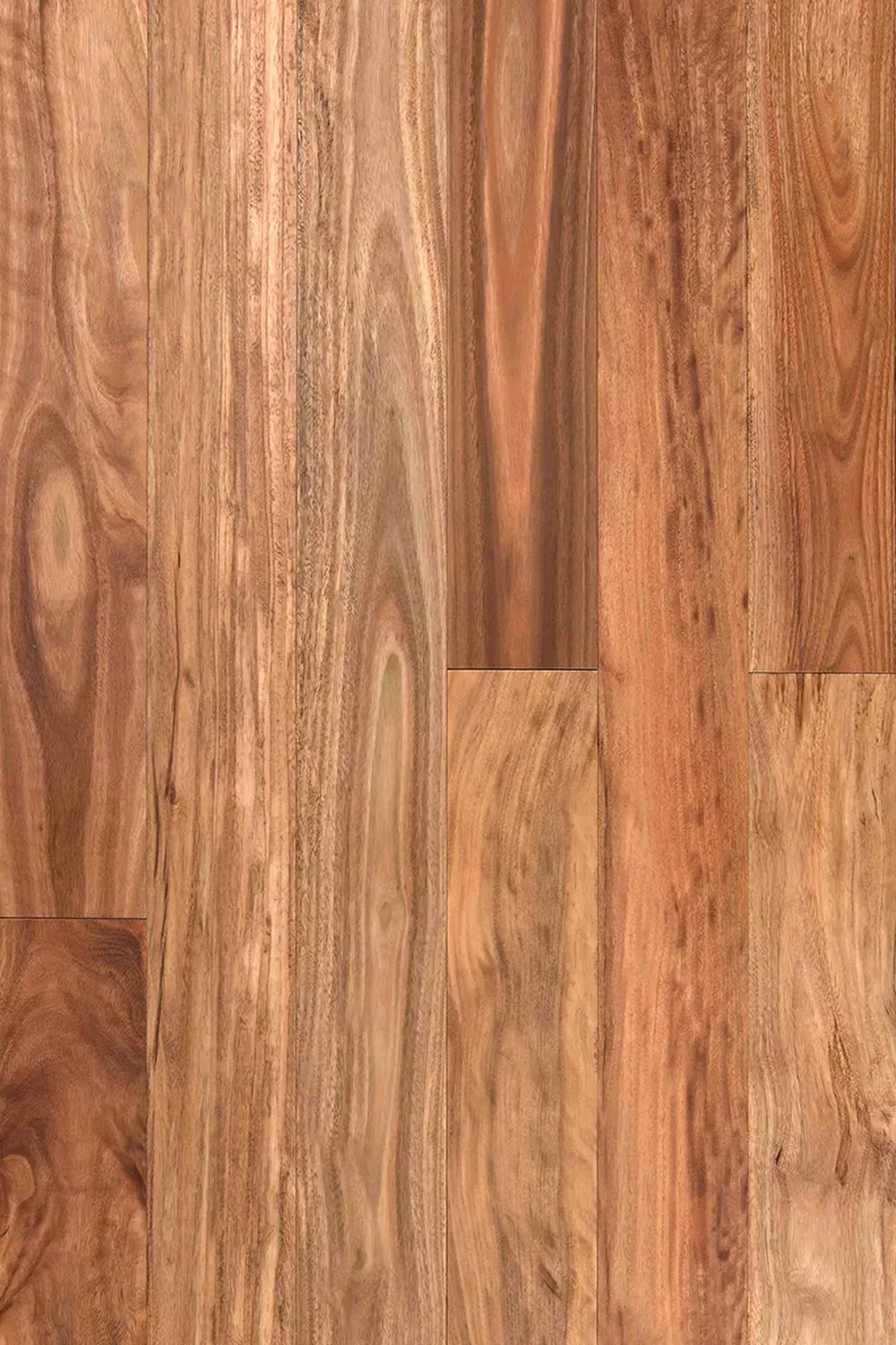 Pacific Spotted Gum