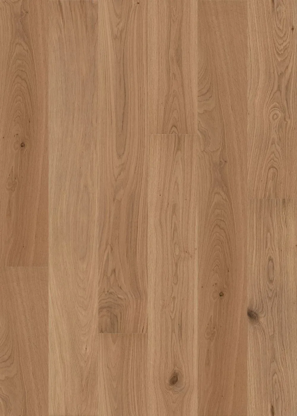 Fawn Oak Straight