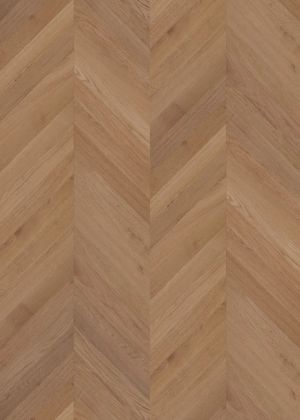 Fawn Oak Chevron