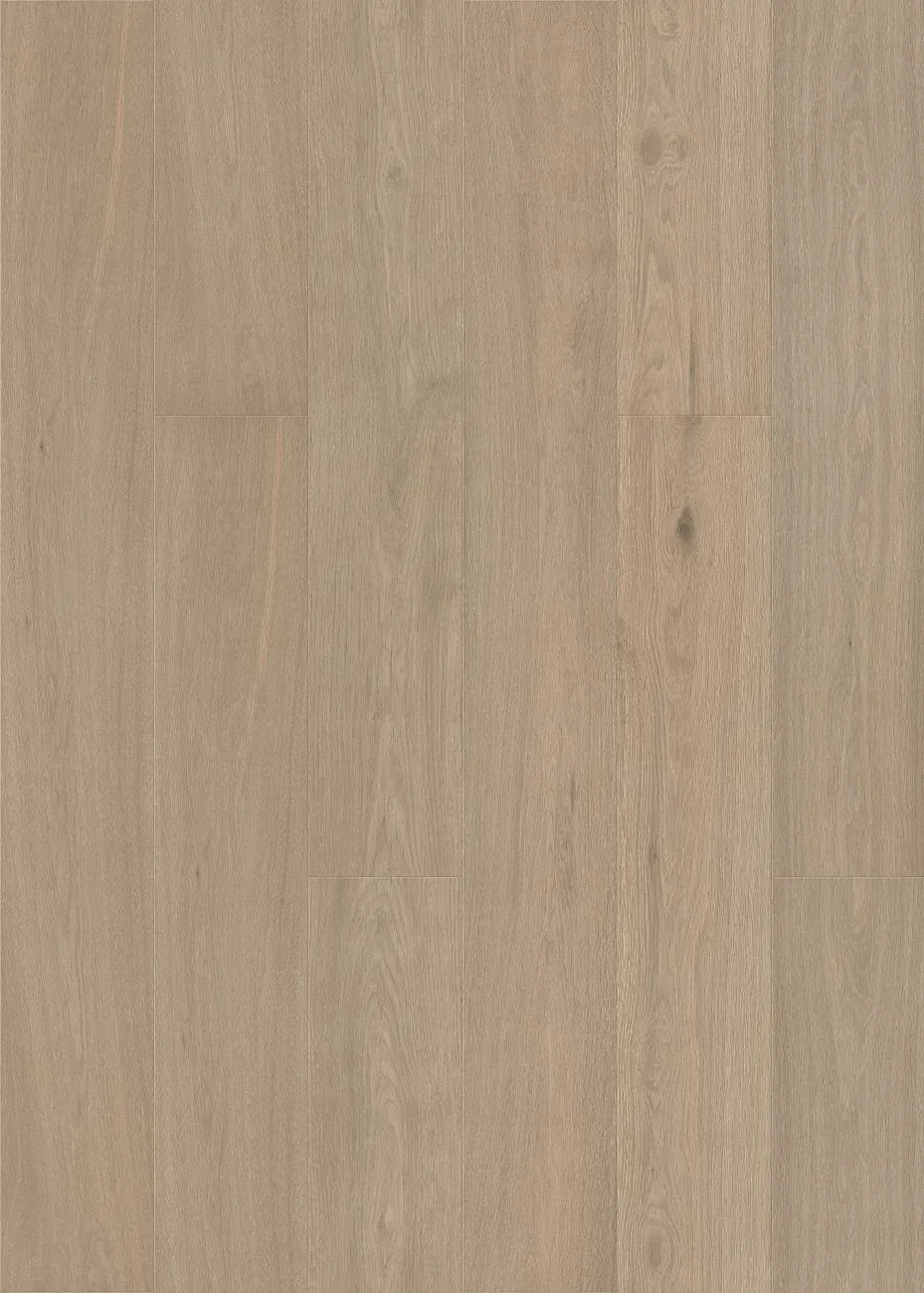 Terrace Grey