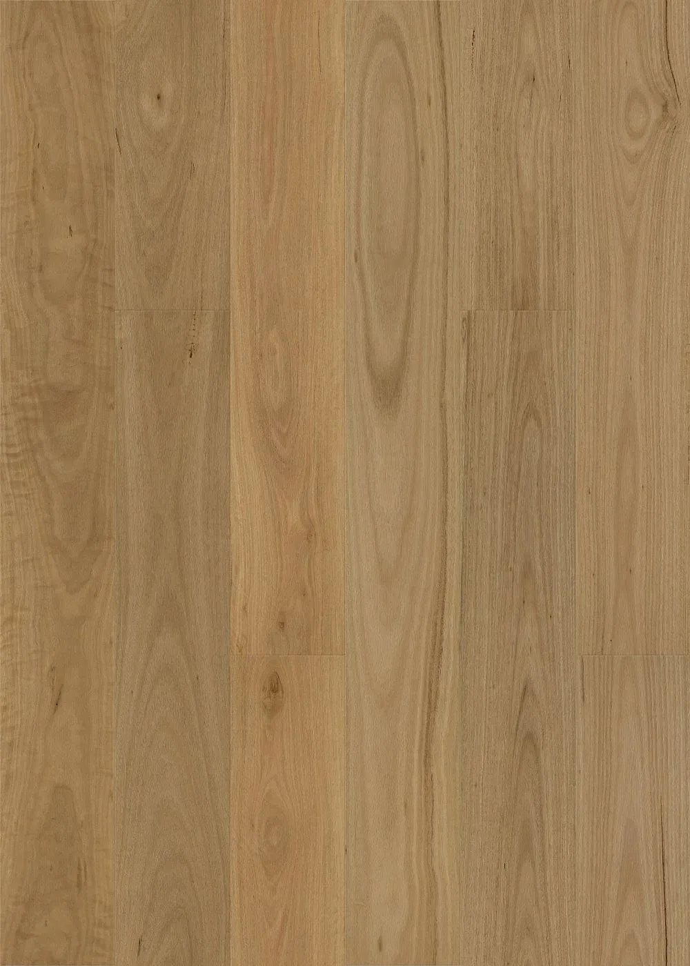 Brushed Blackbutt Straight