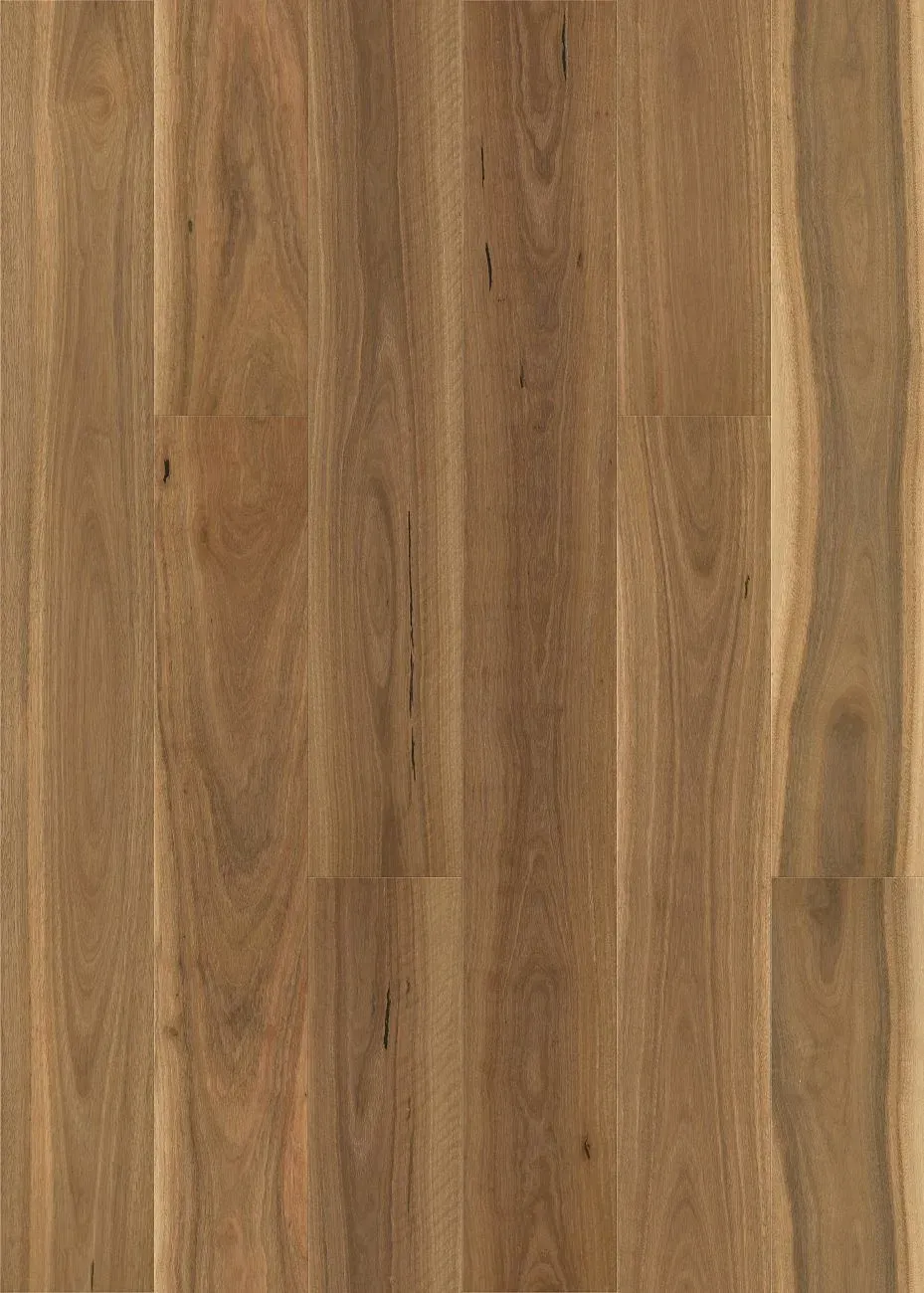 Brushed Spotted Gum Straight