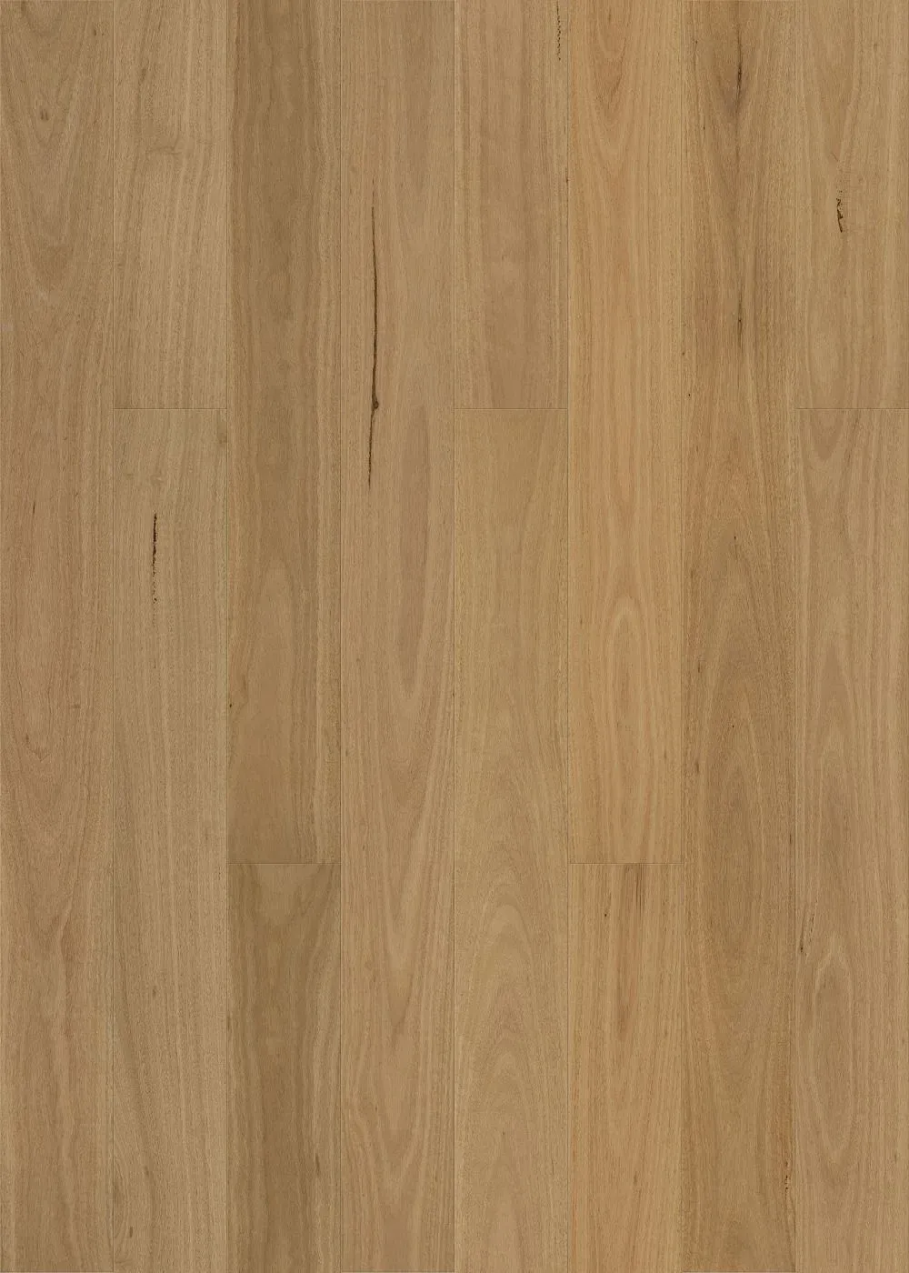 Smooth Blackbutt Straight