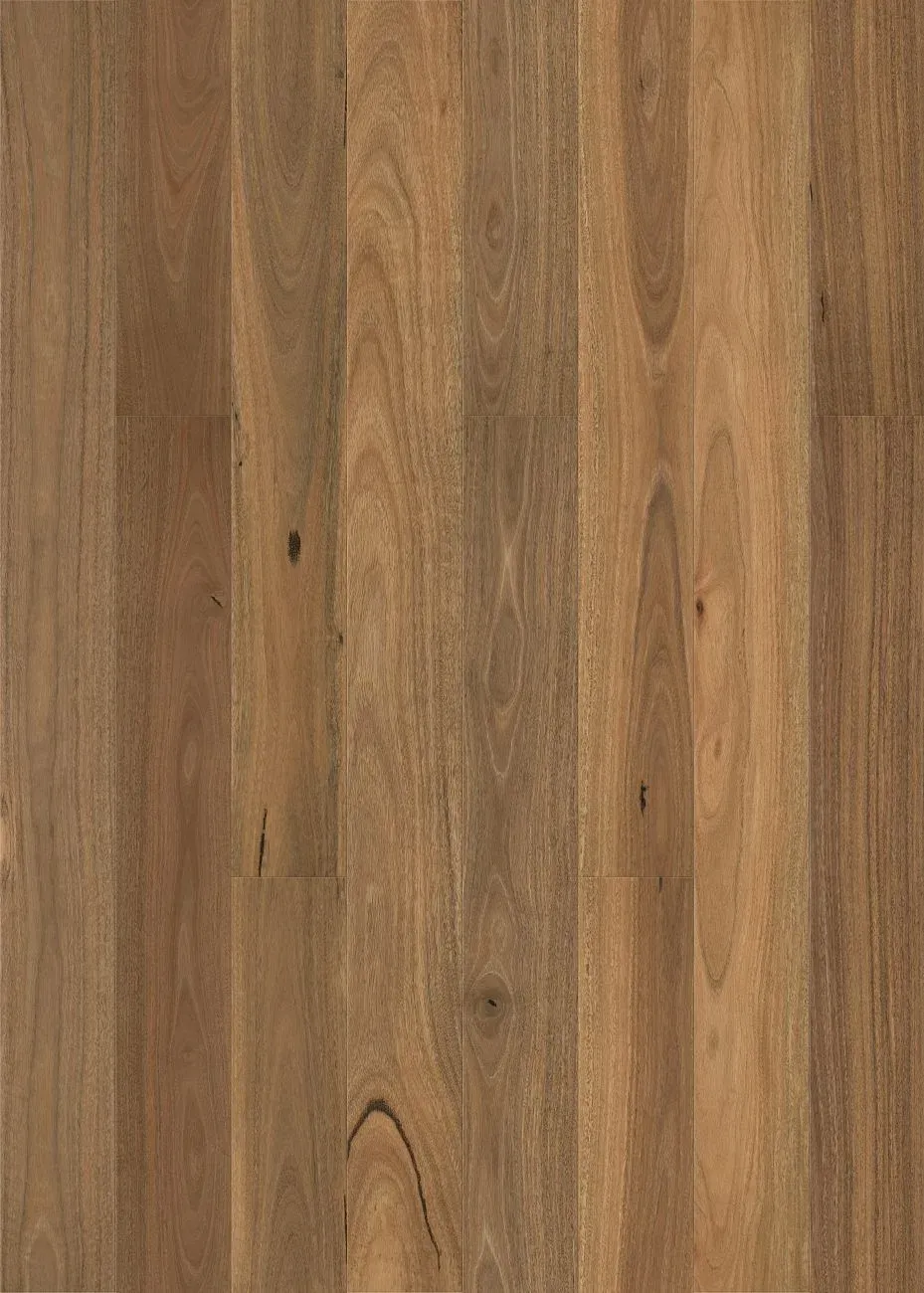 Smooth Spotted Gum Straight