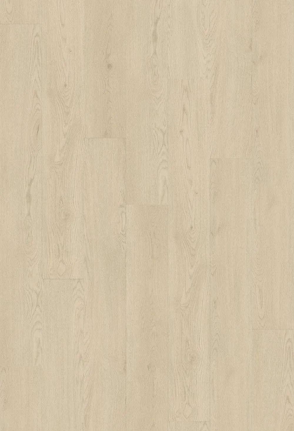 Chardonnay Oak Straight
