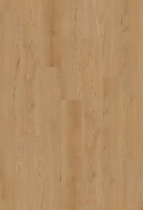 Euro Oak Straight