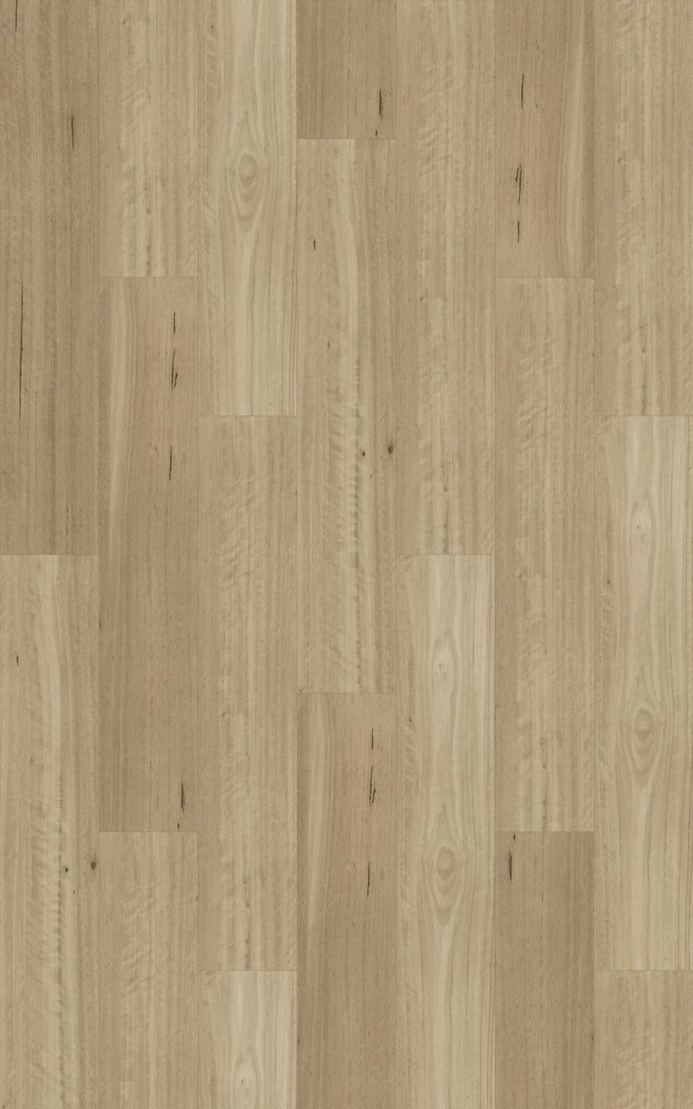 Somerset Blackbutt Straight