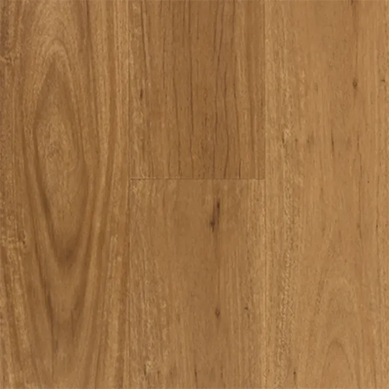 Coastal Blackbutt