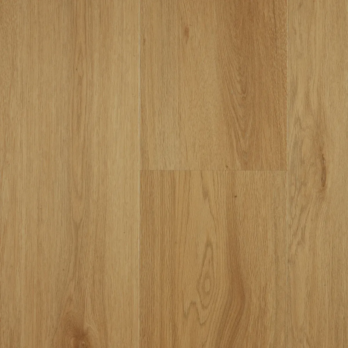 Mountain Oak