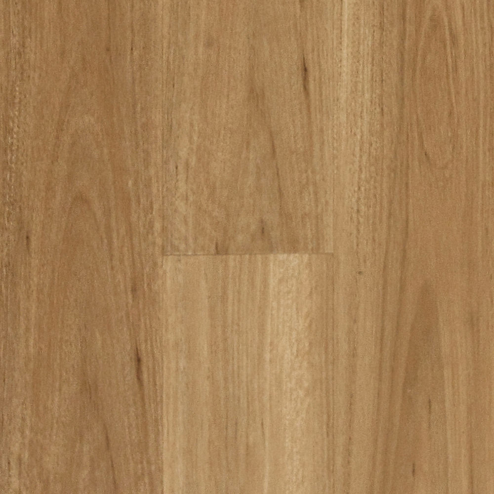 Blackbutt Straight