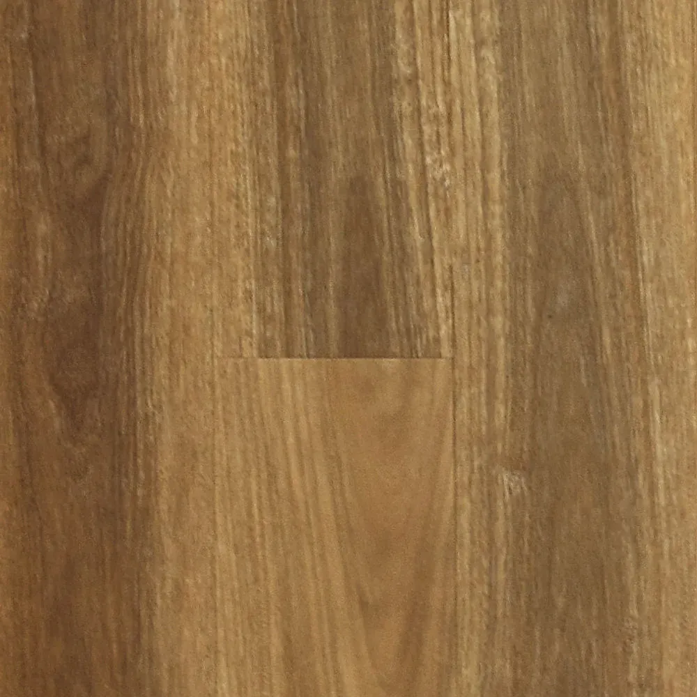 Spotted Gum