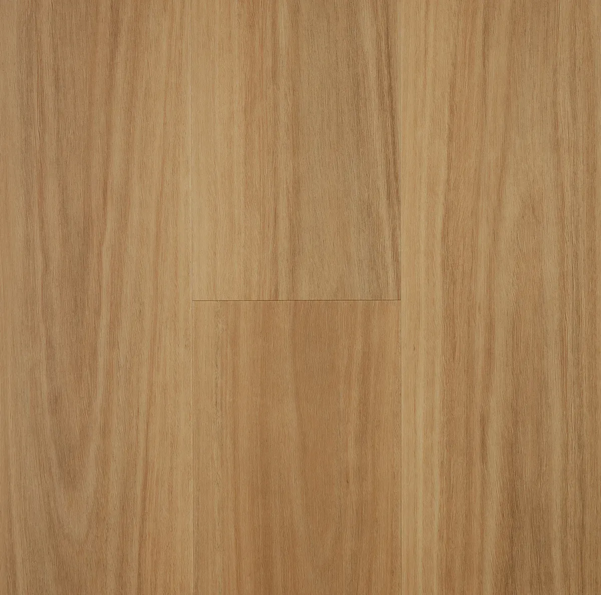 Blackbutt