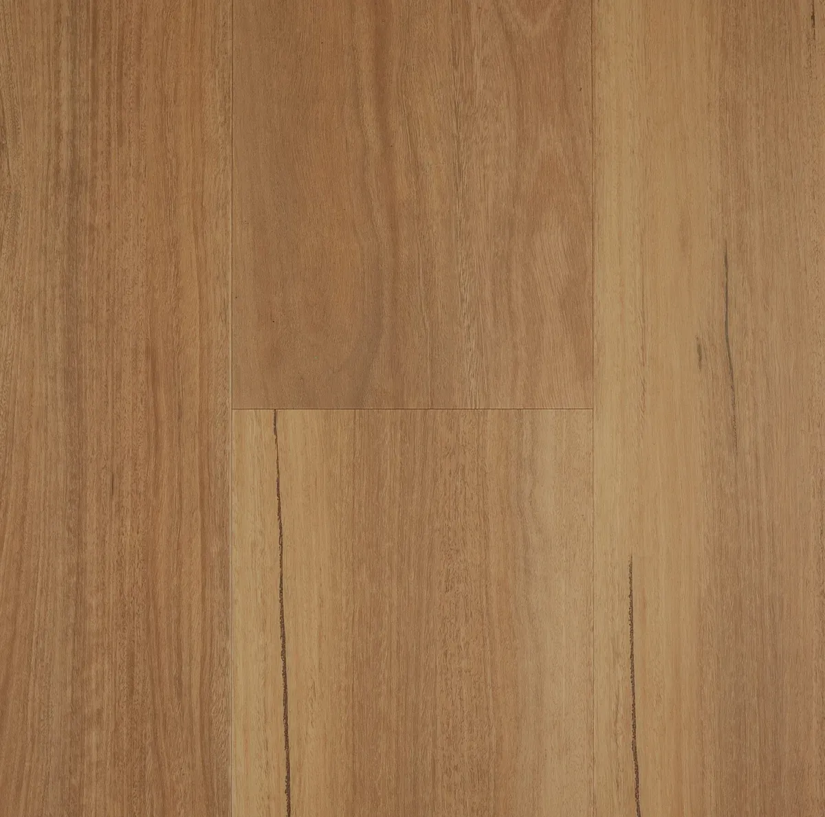 Spotted Gum