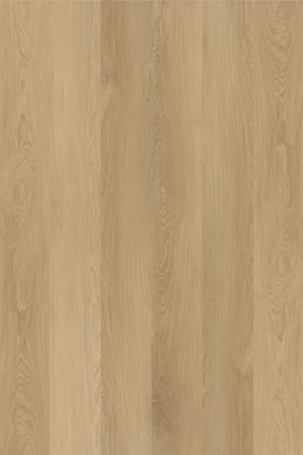 Coastal Beige
