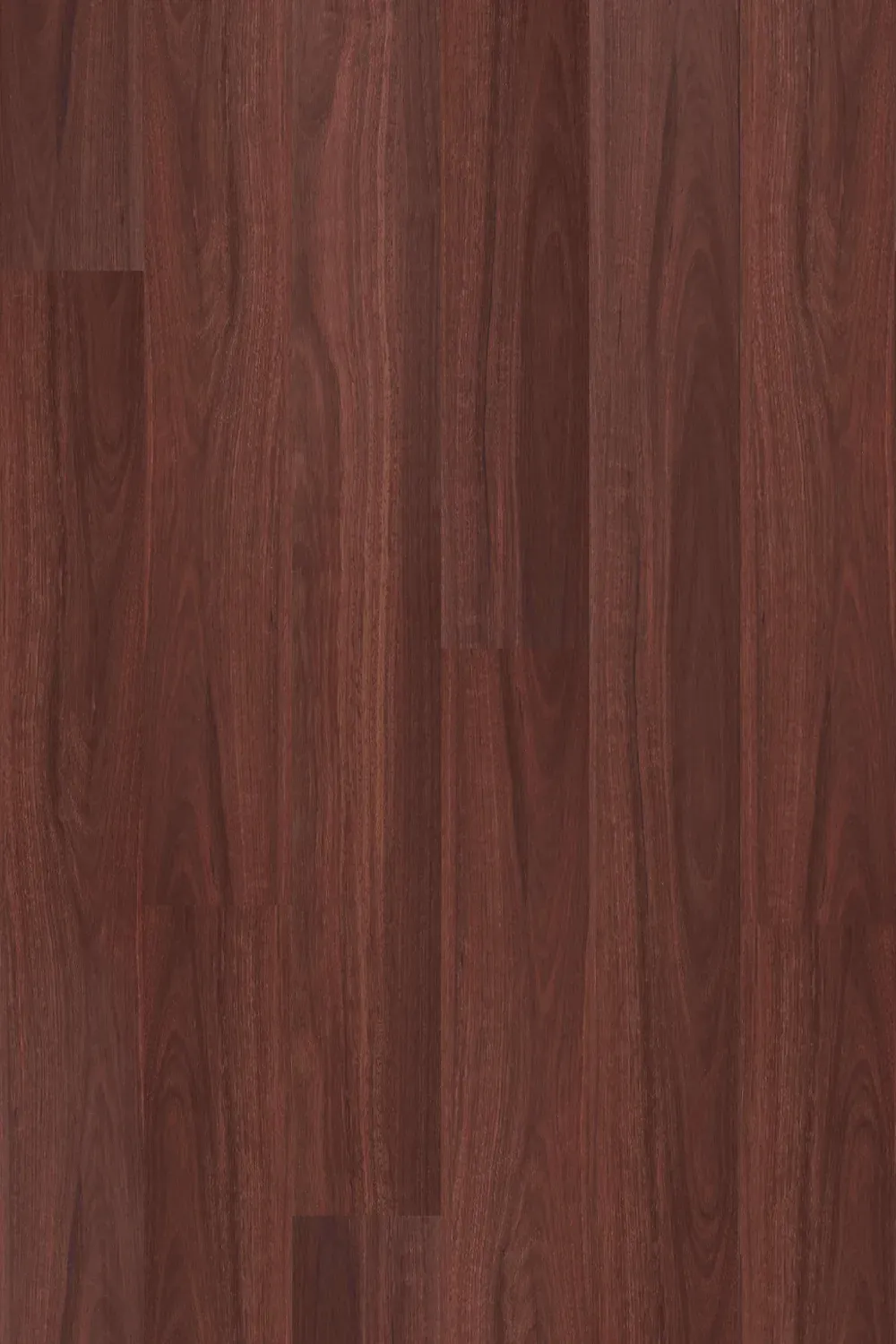 Jarrah