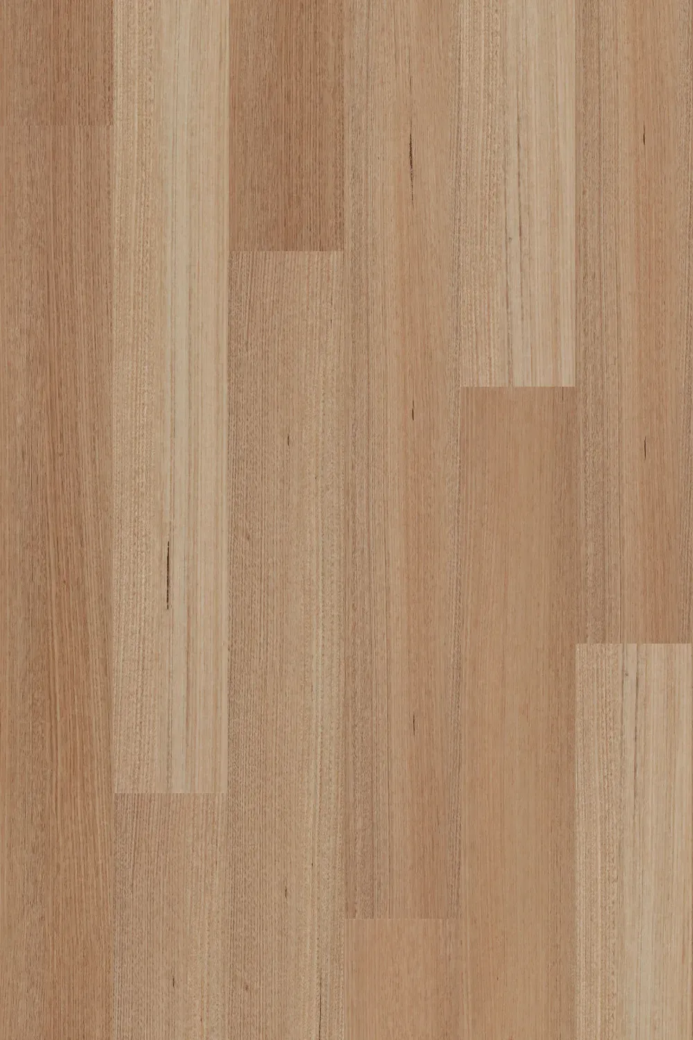 Tasmanian Oak Straight
