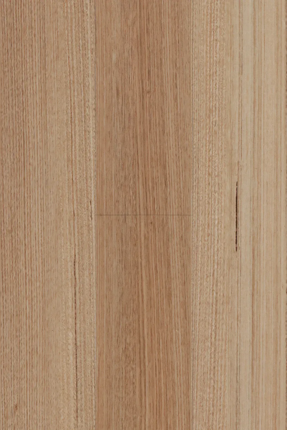 Tasmanian Oak