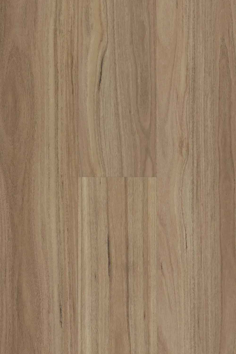 Blackbutt Straight