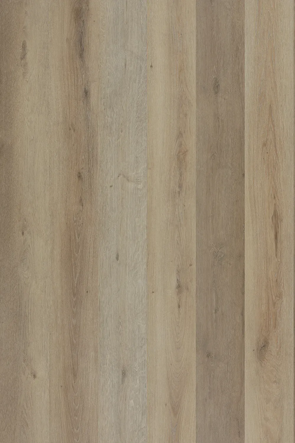 Lake View Oak