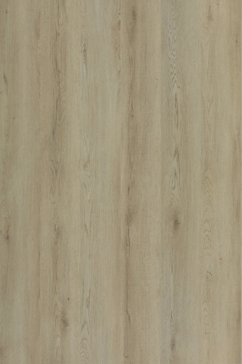 Manor Ridge Oak