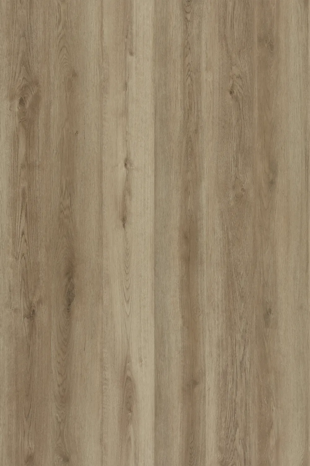 Sherwood Oak