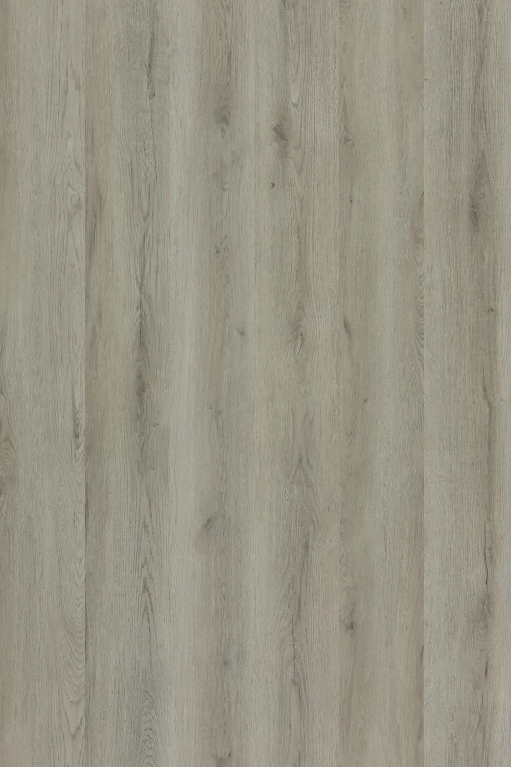 Winchester Oak