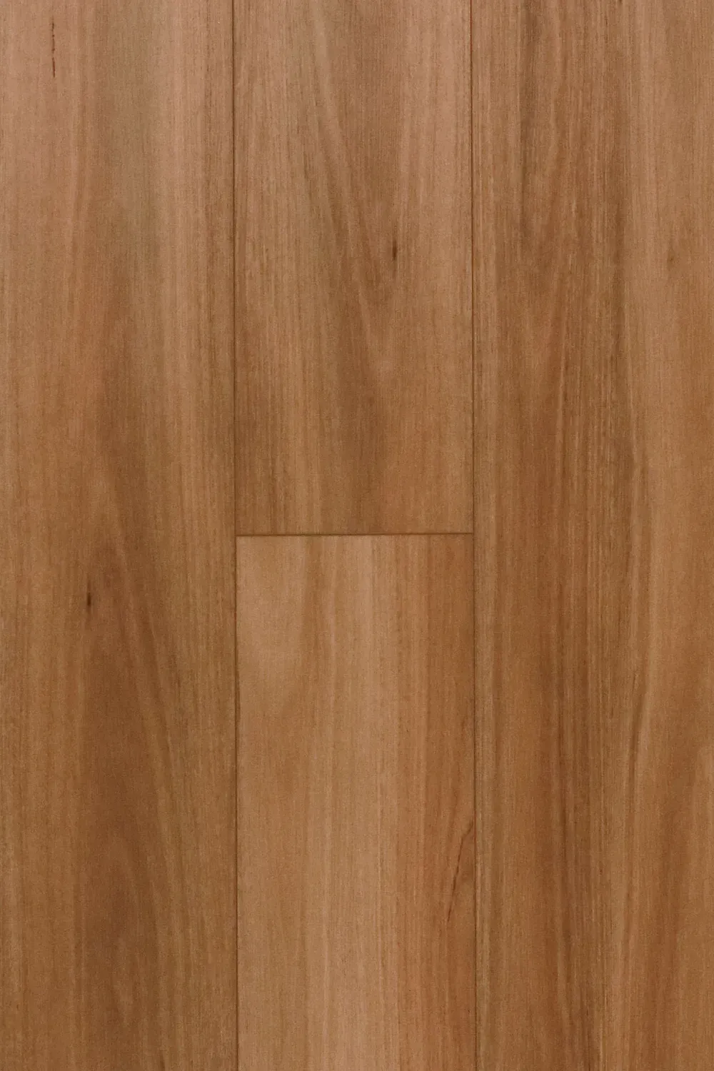 Coastal Blackbutt Straight