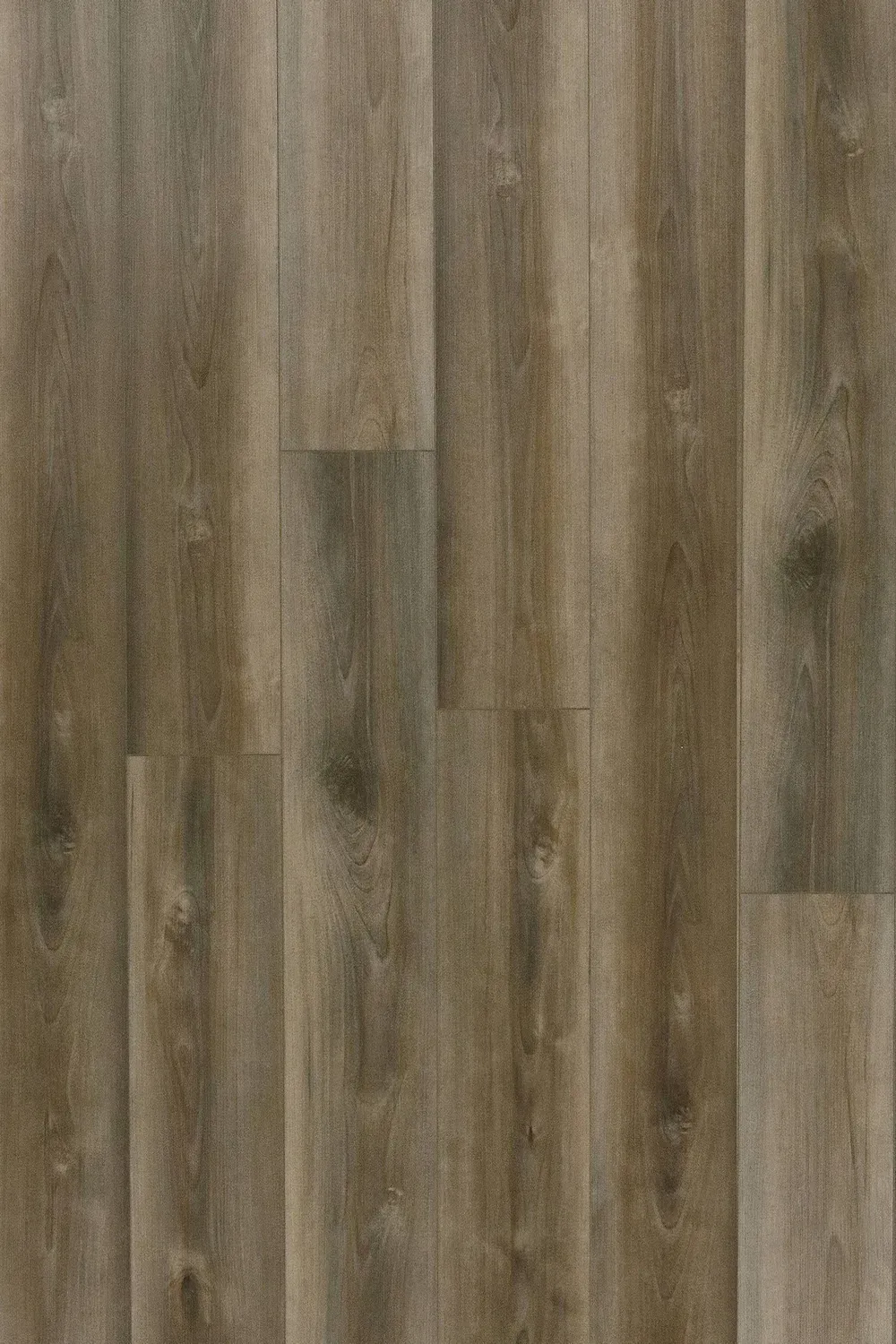 Loft Oak