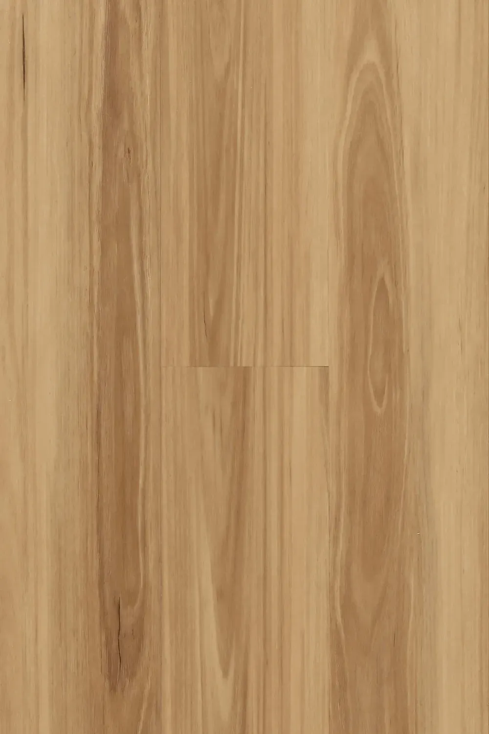 New England Blackbutt Straight