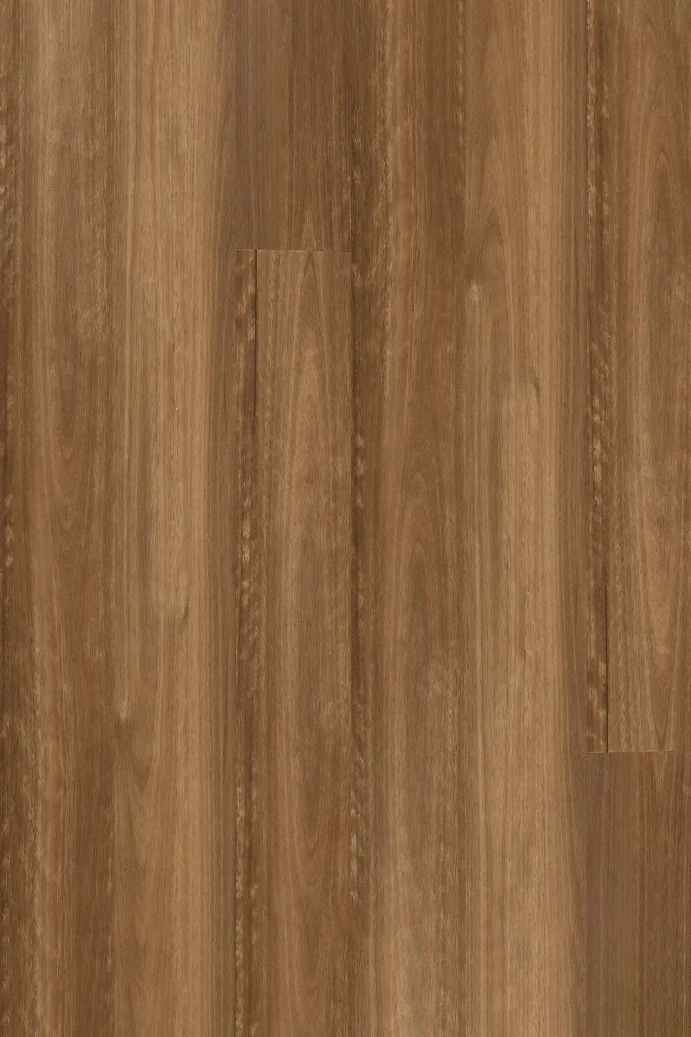 NSW Spotted Gum