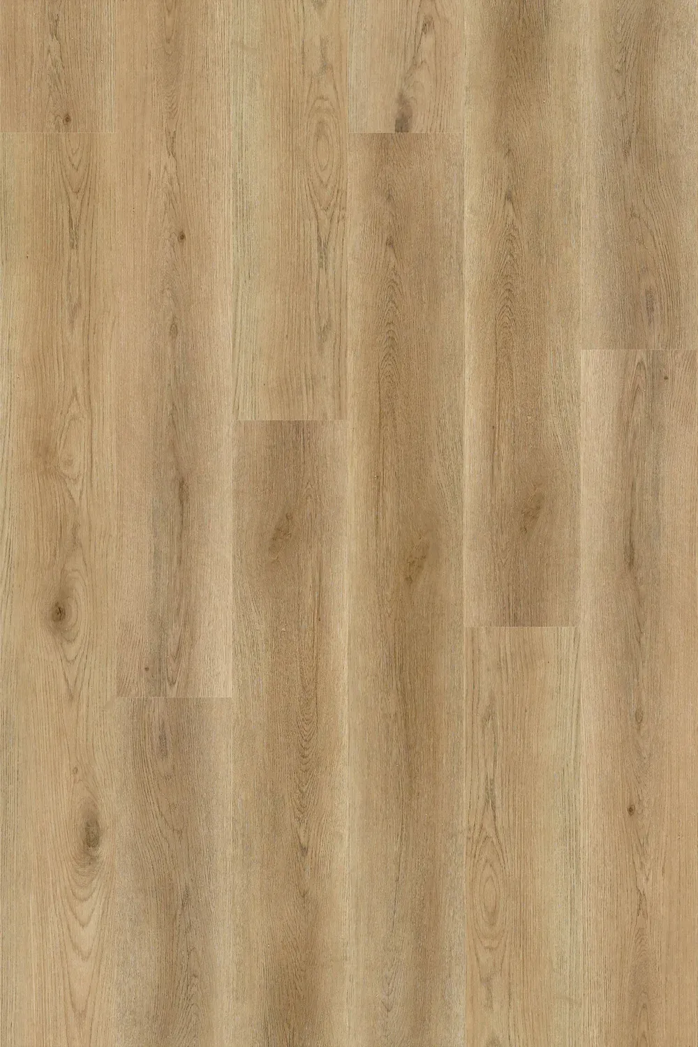 Oxford Oak