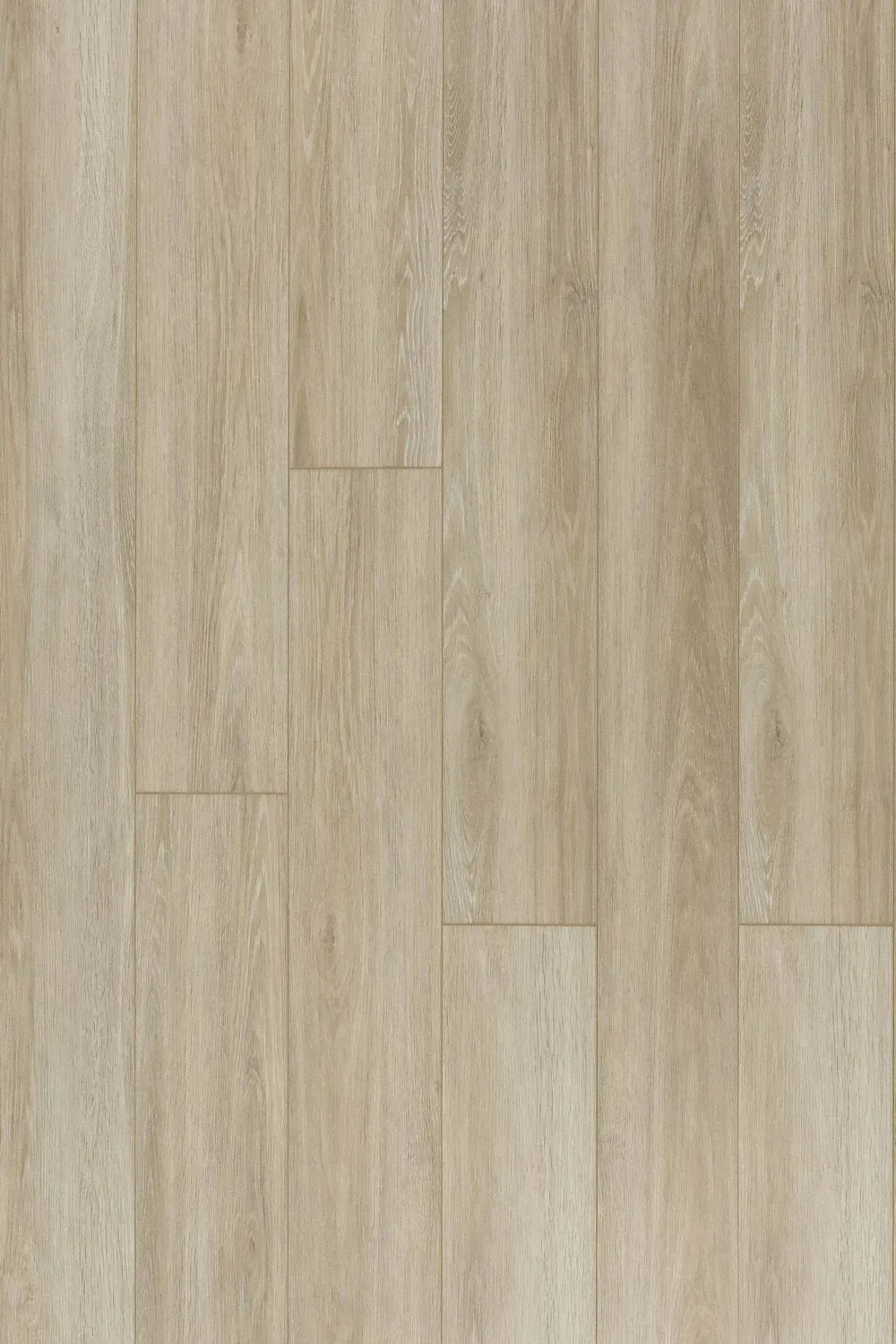 Royal White Oak