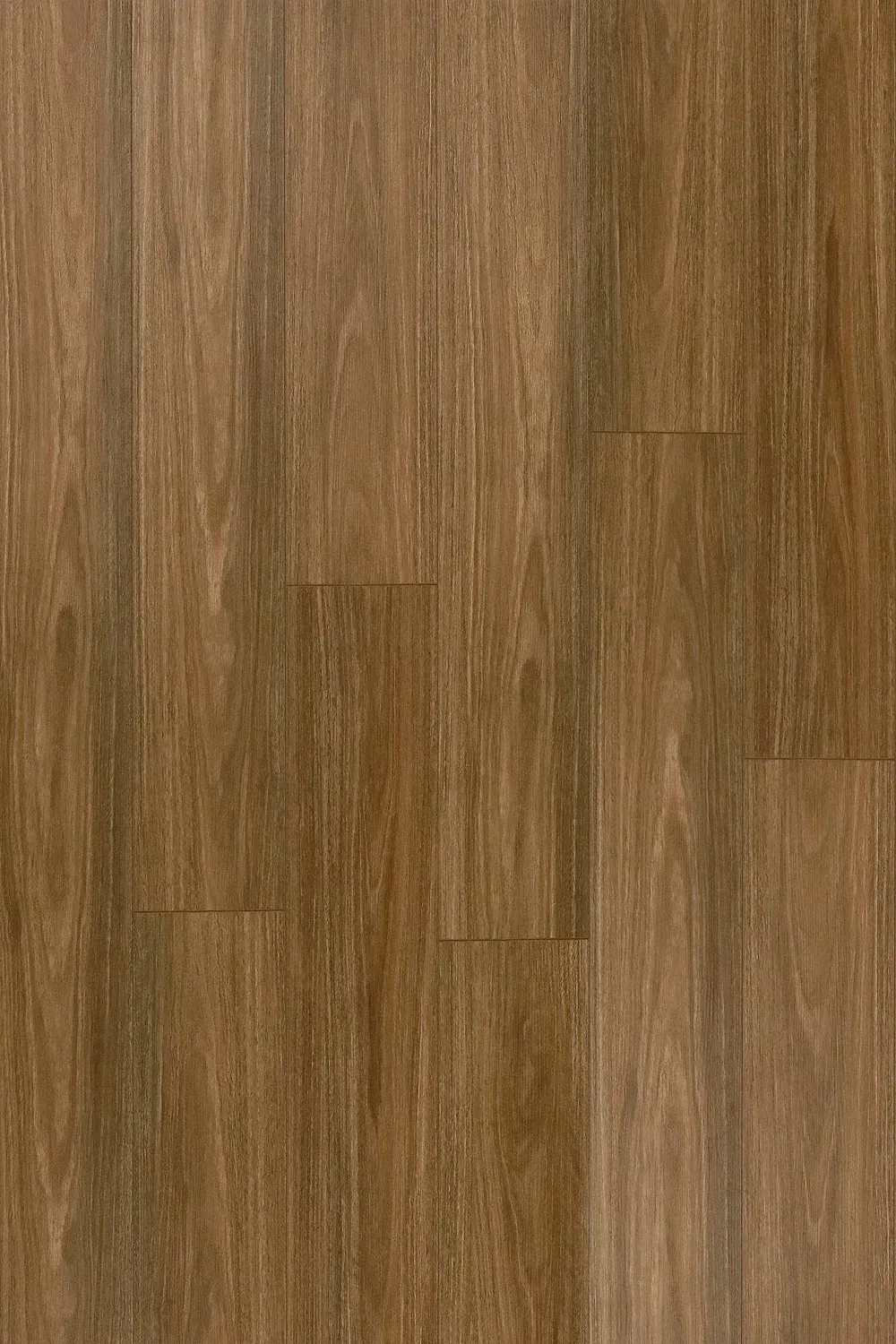 Spotted Gum
