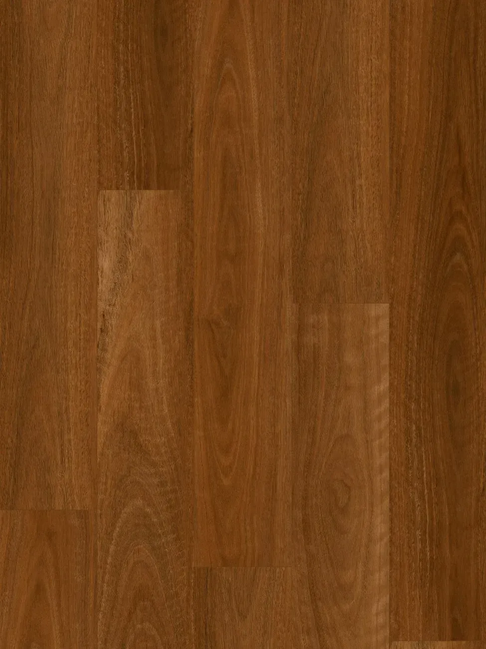 Australian Spotted Gum Straight