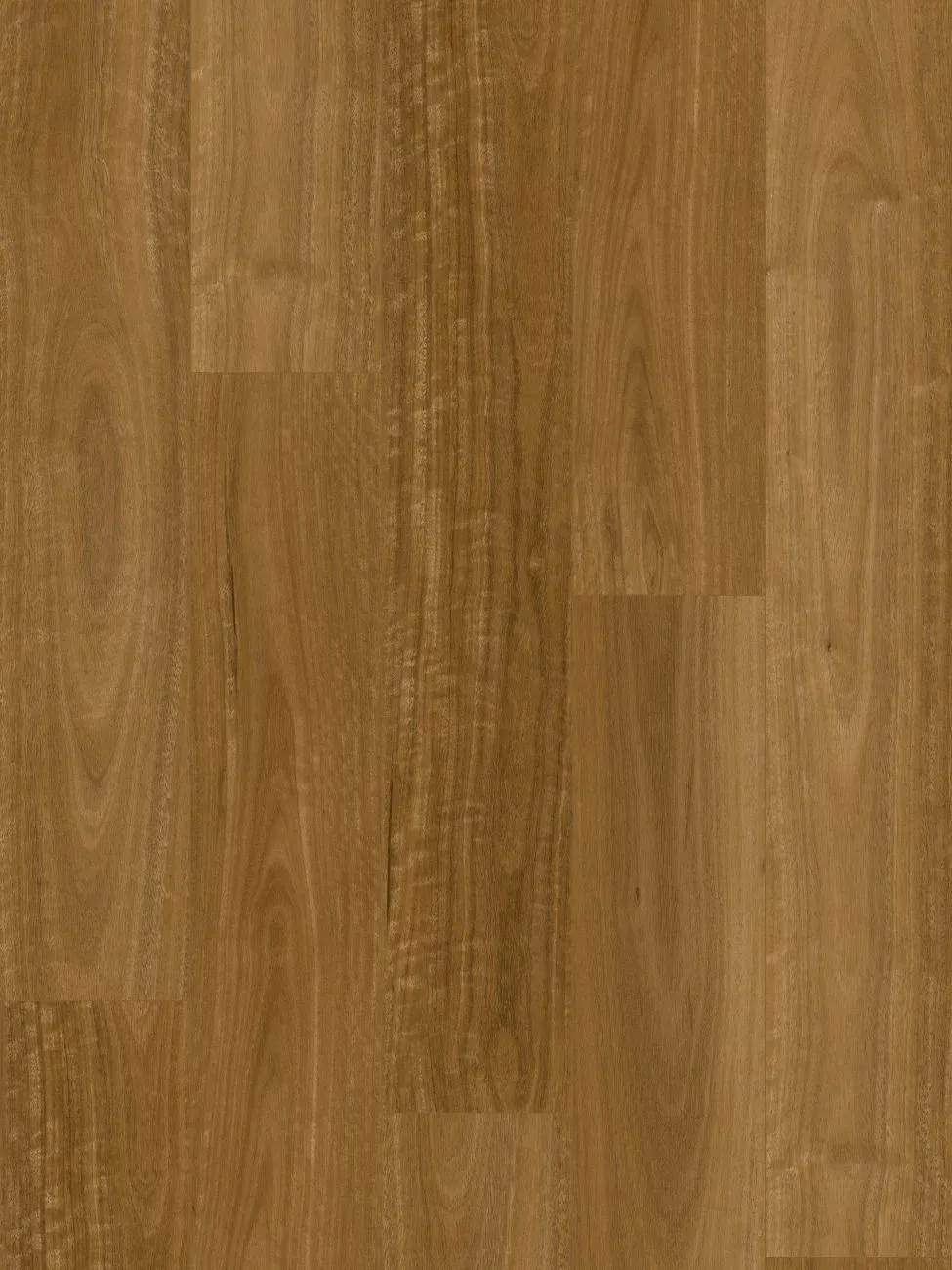 Sunshine Spotted Gum Straight