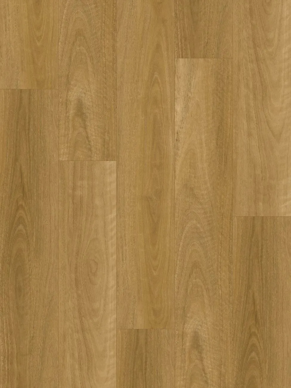 Eastern Blackbutt Straight