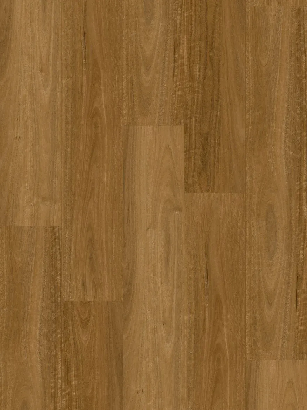 Eastern Spotted Gum Straight