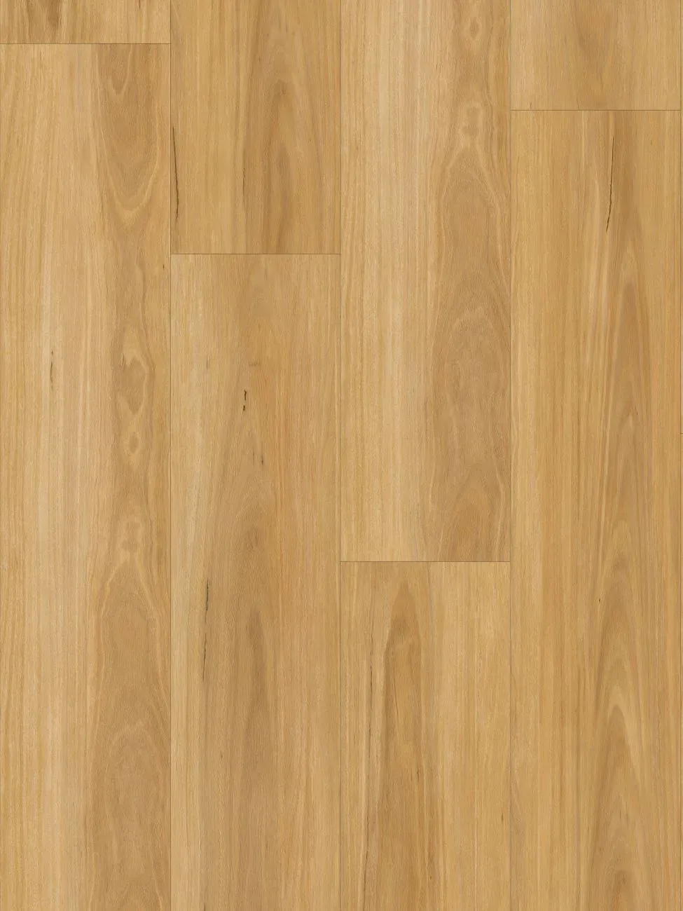 New England Blackbutt Straight
