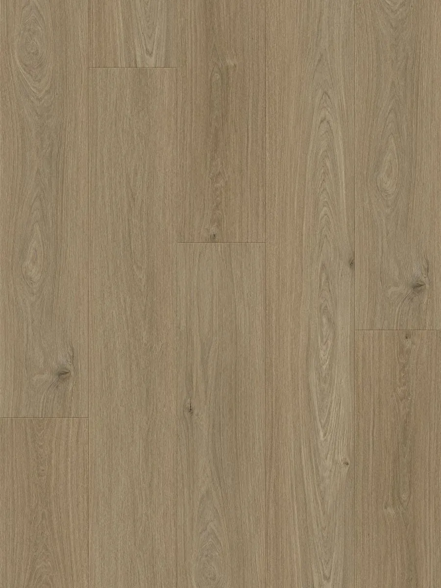 Sapia Clay Straight
