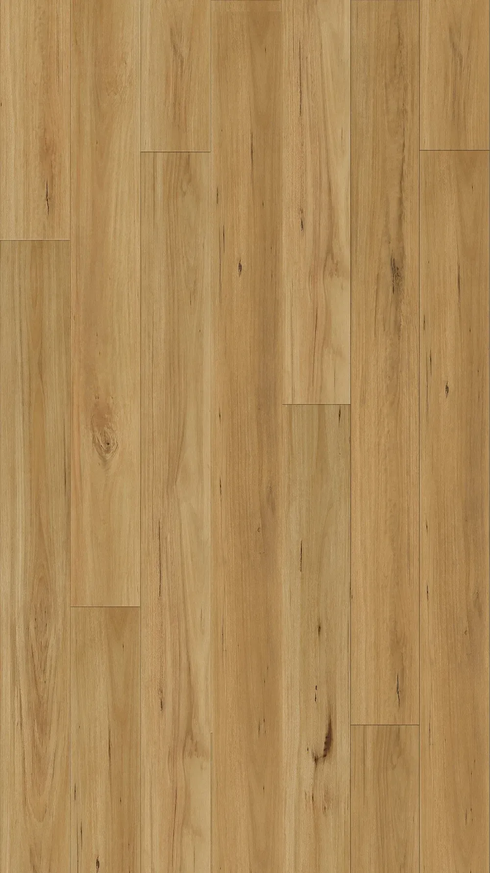Blackbutt Straight